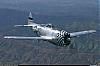     
: P-47_0002.jpg
: 1075
:	235.8 
ID:	2853