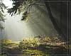     
: forest lights back 1.JPG
: 903
:	105.4 
ID:	7230