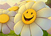     
: 1206652535.wallpapers.smile.jpg
: 568
:	48.1 
ID:	7520