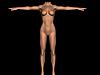     
: bodyrender1.jpg
: 652
:	38.8 
ID:	3049