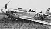     
: P-51D_forced landing_Dana Kay_364th FG.jpg
: 1114
:	58.4 
ID:	1931