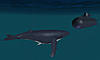     
: whale.jpg
: 1531
:	57.5 
ID:	7793