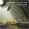    
: forest lights front.JPG
: 1141
:	96.4 
ID:	7228