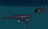     
: whale.jpg
: 1721
:	57.5 
ID:	7793